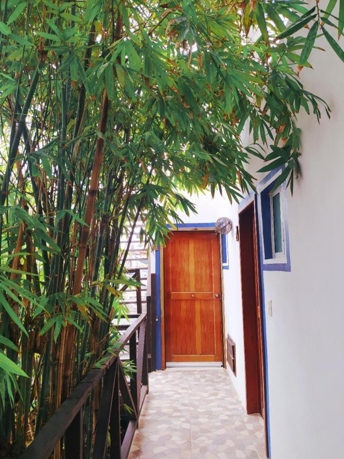 Hotel Jardin Mahahual Exterior photo